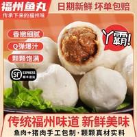 海岽深正宗福州鱼丸福建地方名小吃手工包心大鱼丸火锅食材关东煮丸料 【顺丰】鱼丸500g*2包