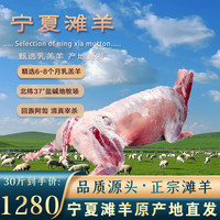 午羊 宁夏滩羊 精品全羊整只羊肉年货礼盒 全羊宴烤全羊 火锅炖煮食材 【产地直发】30斤羔羊分割
