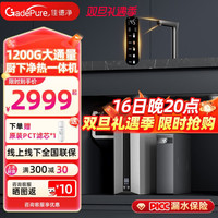  GADEPURE/佳德净 6年长效 即热式净水器+RO膜+即热龙头  银灰色
