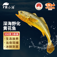 黄小渔 【冰鲜野化】宁德深海大黄鱼350g*3条(净重1050g)黄花鱼源头直发