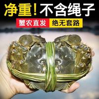 【活蟹】大闸蟹鲜活全母大螃蟹水产新鲜螃蟹 精品大闸蟹 公5.0两-母4.0两 各4只礼盒装