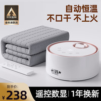 日遇水暖电热毯双人水暖毯水电褥子水热毯孕妇调温除湿水循环水暖床垫