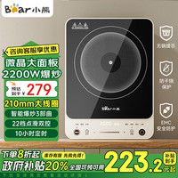 小熊（Bear）电磁炉电磁灶电池炉家用2200W大功率猛火爆炒大火力炒菜锅火锅 【2200W大功率】DCL-J22G3