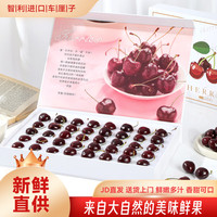 斯可沁 智利车厘子大樱桃水果 年货节 80颗JJJ特级大果白金礼盒