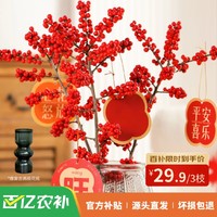 移动端、京东百亿补贴：京东鲜花 北美冬青红果鲜花切枝鲜切花水培水养绿植室内年宵花卉源头直发