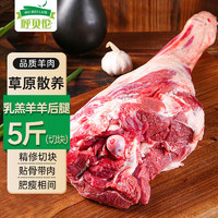 呼贝伦 国产滩羊肉 原切羊后腿2.5kg切块 羊肉生鲜小炒火锅烧烤 源头直发