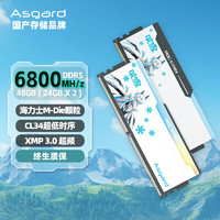 Asgard 阿斯加特 48GB(24GBx2)套装 DDR5 6800 台式机内存RGB灯条-吹雪 适配黑神话悟空