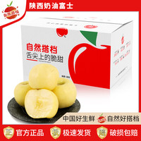 自然搭档 陕西奶油富士苹果 新鲜当季水果脆甜多汁有果锈 净重4.5-5斤小果(单果170g+)