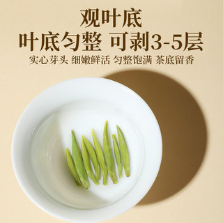 天府龙芽冠龙绿茶2024年新茶明前茶叶春茶特种高山云雾川茶集团高端51克 冠龙绿茶51g（3g*17袋）