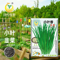 凤鸣雅世韭菜种子农家老品种阳台盆栽四季多年生小叶香韭菜种子10克 小叶香韭菜种子10克约500粒