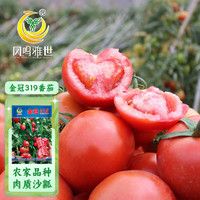 凤鸣雅世番茄种子毛粉沙瓤西红柿种子老品种农科院金冠319西红柿种子100粒