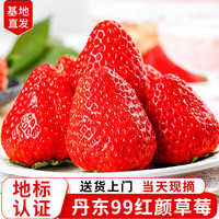 沙窝曙光草莓丹东草莓99红颜奶油大草莓新鲜时令水果生鲜整箱 净重2.8斤装 单果20-30g