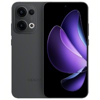 OPPO 新品 OPPO Reno13 超美小直屏 潮流蝶蝶紫 AI高清实况照片IP69满级防水双芯抢网AI手机5G