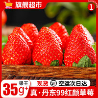 沙窝曙光(SF空运到家)草莓丹东草莓99红颜奶油大草莓新鲜时令水果整箱 整箱2斤装单果15-20g