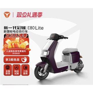 新一代冠能E80 lite 电动车