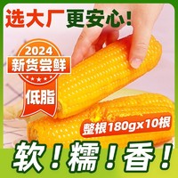 东北农嫂黄糯玉米棒非转基因真空低脂粗粮粘玉米一整箱1.8kg