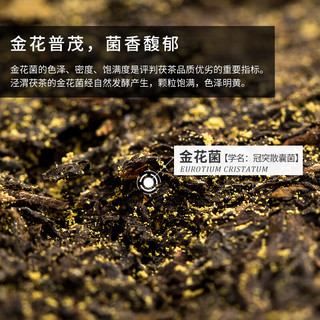 泾渭茯茶黑茶陕西茯茶特产茶叶金花茯砖茶泾阳 贡金茯茶 2022年