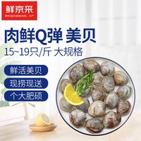 鲜动生活 鲜活大美贝 5斤 每斤15-20粒