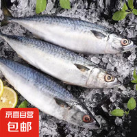 京喜加 深海捕捞 鲐鲅鱼 2斤 3/4两一条