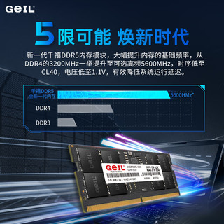 GEIL金邦 笔记本内存条 DDR5 笔记本电脑内存条 第五代内存条 5600 5200 4800 MHZ 运行内存 笔记本 64G(32GX2)套条 4800