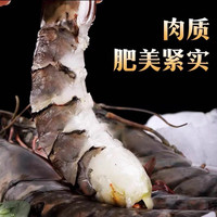 黑虎虾 毛重800g *2盒 【一盒10头，一头17-18cm】