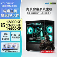 百亿补贴：COLORFUL 七彩虹 DIY台式组装电脑（i5-13400F、16GB、256GB）