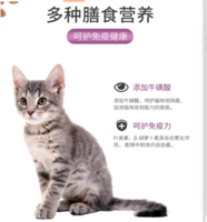 Myfoodie 麦富迪 全价成猫猫粮8KG