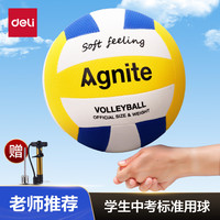 得力（deli）7号中考排球训练考试体考气排球沙滩 气嘴+打气筒FD302