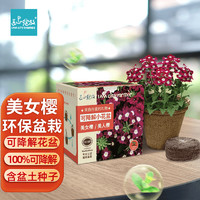 Bloom Life 匠心绽放 IAM City Farmer 美女樱 可降解花盆套装 DIY室内阳台种植  儿童种植小盆栽 科学课观察日记