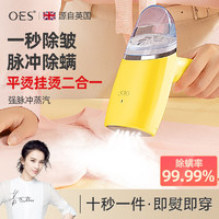 OES 手持挂烫机家用小型电熨斗全自动蒸汽折叠熨烫机烫衣服神器