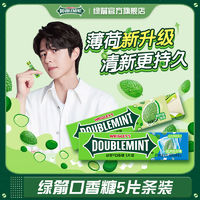 DOUBLEMINT 绿箭 口香糖条装5片20条盒装100片清凉薄荷味清新口气零食批发