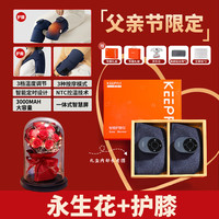 Apple Rabbit送爸爸母亲节新年保暖护膝送爸爸老师40-60岁中老年长辈实用高档冬季 智能护膝仪-两只装+永生花