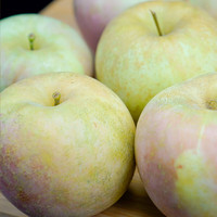 菲农山东丑苹果 9斤 果径70-75mm 脆甜富士苹果 新鲜水果