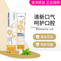 HealthyCare 澳世康 Healthy Care澳洲进口天然蜂胶牙膏120g呵护牙齿牙龈牙周口腔健康清新口气 120g*1支 效期到26.5左右