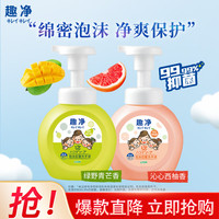 狮王（Lion）狮王趣净泡沫洗手液 家庭装99%保湿成分呵护肌肤 洗手液青芒香+西柚香共2瓶