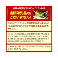 others 其他 WORLD PEGASUS 世界飞马 棒球手套 成人用 右投