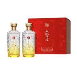 WULIANGYE 五粮液 52度浓香型白酒 500mL*2瓶 礼盒装