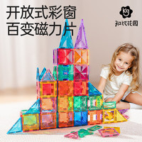 知识花园 孩子爱玩！磁力片拼装积木7.5cm60片