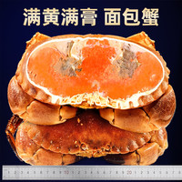 面包蟹超大母帝王蟹鲜活熟冻大螃蟹新鲜海蟹海鲜水产黄金蟹珍宝蟹