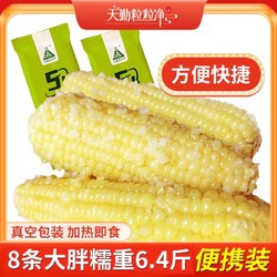 谷美优品 天勤粒粒净甜糯玉米平均400g*8根24年新鲜白糯非转基因低脂真空