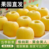 慧供平安苹果水果生鲜礼盒洛川奶油富士栖霞苹果新鲜当季一级脆甜 山东维纳斯4.8斤中果【70-75mm】