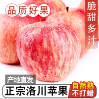慧供平安苹果水果生鲜礼盒洛川奶油富士栖霞苹果新鲜当季一级脆甜 洛川8.5斤超大果王礼箱【90mm+】