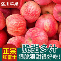 慧供平安苹果水果生鲜礼盒洛川奶油富士栖霞苹果新鲜当季一级脆甜 洛川8.8斤大果礼箱款【80-85mm】