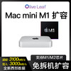 Olive Leaf M1 MacMini扩容硬盘2023款Apple 迷你主机苹果电脑固态1t全新雷电34外置硬盘闪存升级2t内置内存 1T 雷电4 联保5年(大师版预安装软件)