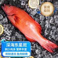 尝鲜生海捕东星斑鱼 活冻石斑鱼冰鲜燕尾深海鱼类礼盒年货老虎斑 东星斑【700-800克】 东星斑【450-520克】