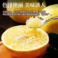 88VIP：PANZHIHUA FRUIT 攀@果 福建黄金葡萄柚 300g以上 7个