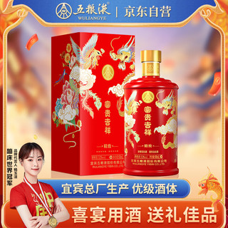 WULIANGYE 五粮液 富贵吉祥 52度 浓香型白酒 500ml 单瓶装