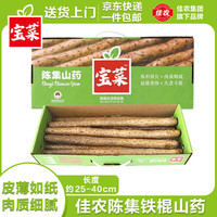 京百味 佳农宝菜山东铁棍山药礼盒净重4.5斤长度25-40公分源头直发