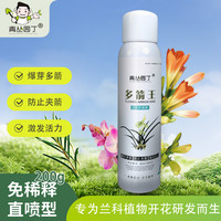 青丛园丁 多箭王兰花蝴蝶兰专用冒箭促箭箭花期长花多艳丽催花开花
