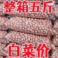 others 其他 东北 吉林省 新鲜粉皮花生米 50g